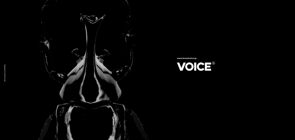 株式会社ヴォイス